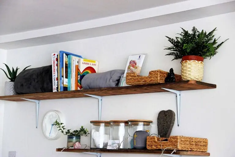 Calstock Therapy Hub / shelves